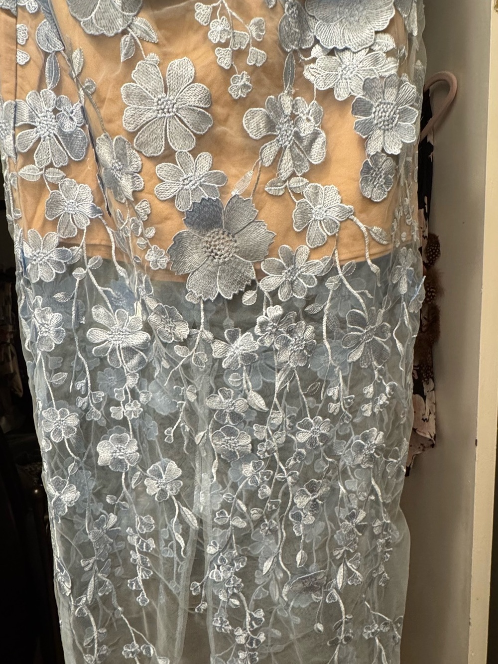 BNWT .Sheer Light Blue Floral , 3D Embroidered Maxi Dress